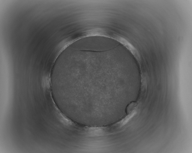 X0000110760993200906291024