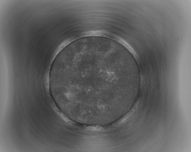 X0000110760994200906291024