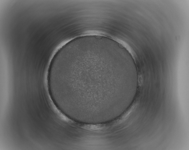 X0000110760995200906291024