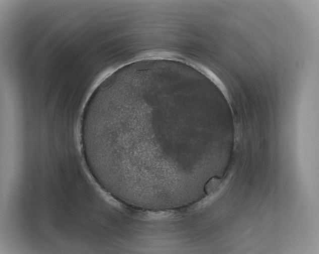 X0000110760997200906291024
