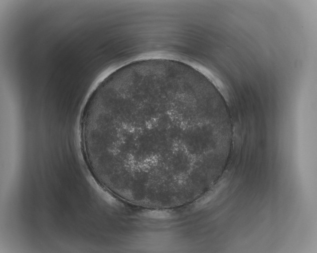 X0000110760998200906291024