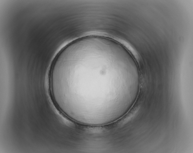 X0000110760999200906291024