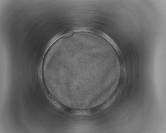 X0000110761002200906291024