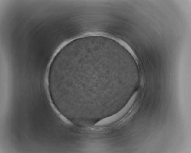 X0000110761005200906291024