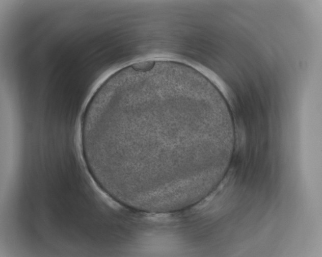X0000110761006200906291024