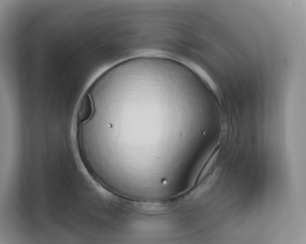 X0000110761007200906291024