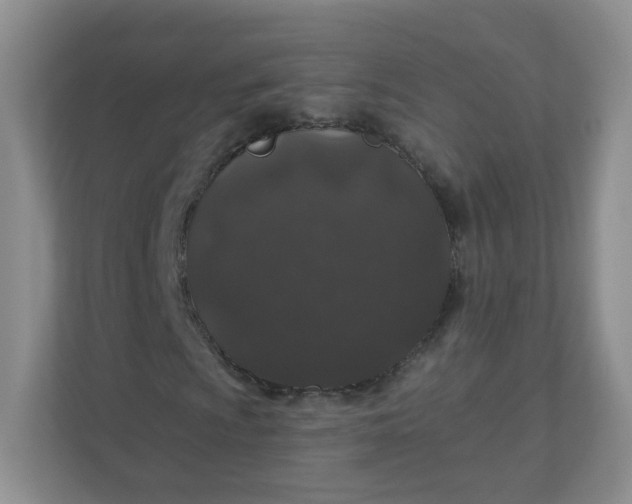 X0000110761009200906291024