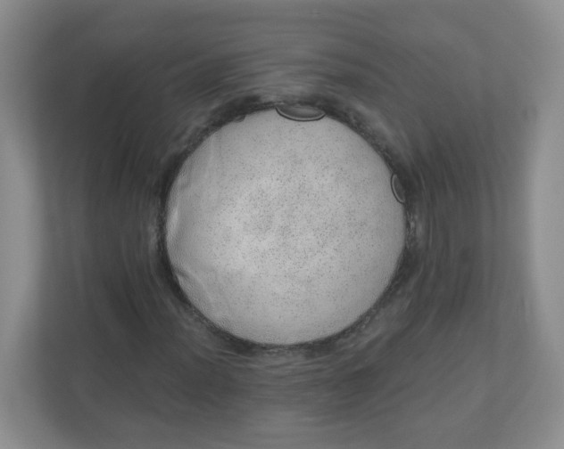X0000110761012200906291024