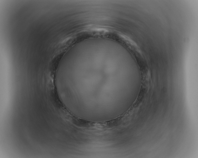 X0000110761013200906291024
