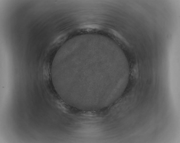 X0000110761014200906291024