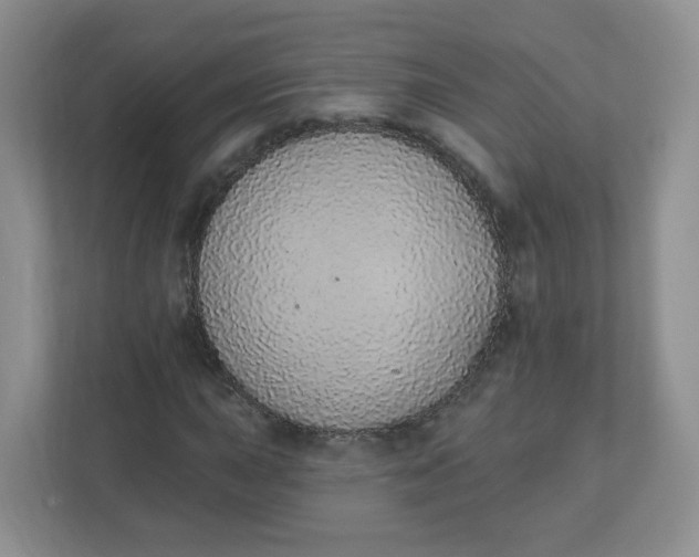 X0000110761015200906291024