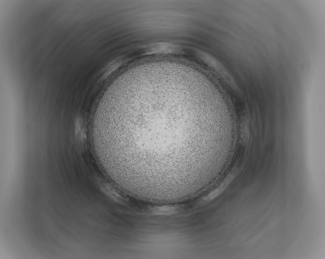 X0000110761017200906291024