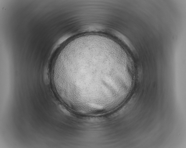 X0000110761018200906291024