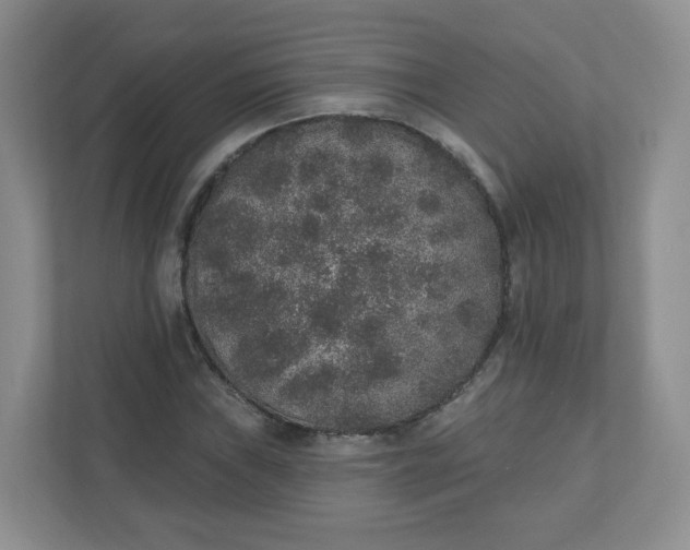 X0000110761019200906291024