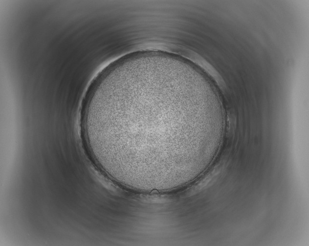 X0000110761020200906291024