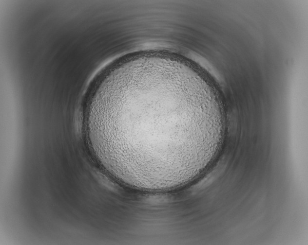 X0000110761021200906291024