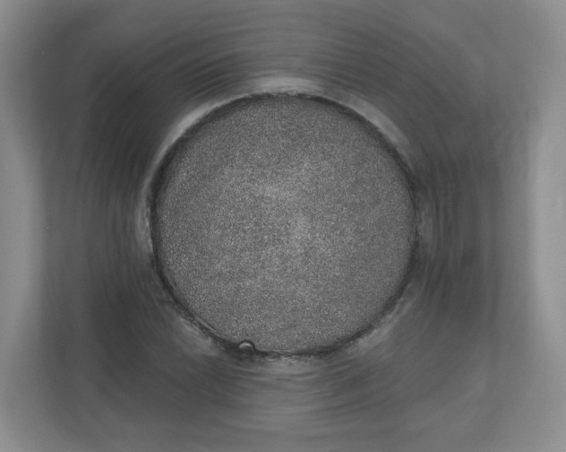 X0000110761022200906291024