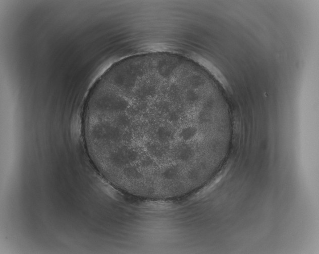 X0000110761023200906291024