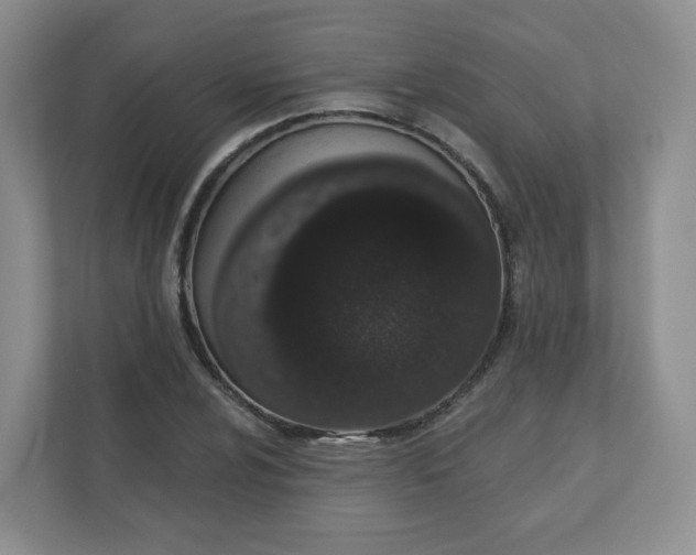 X0000110761024200906291024