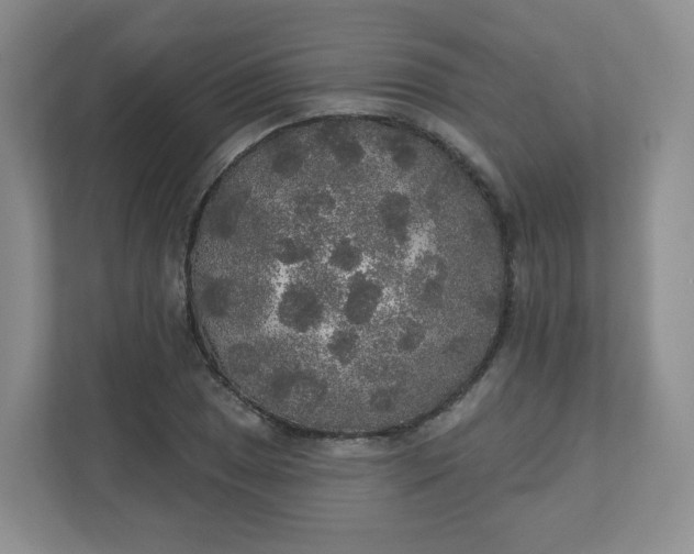 X0000110761025200906291024