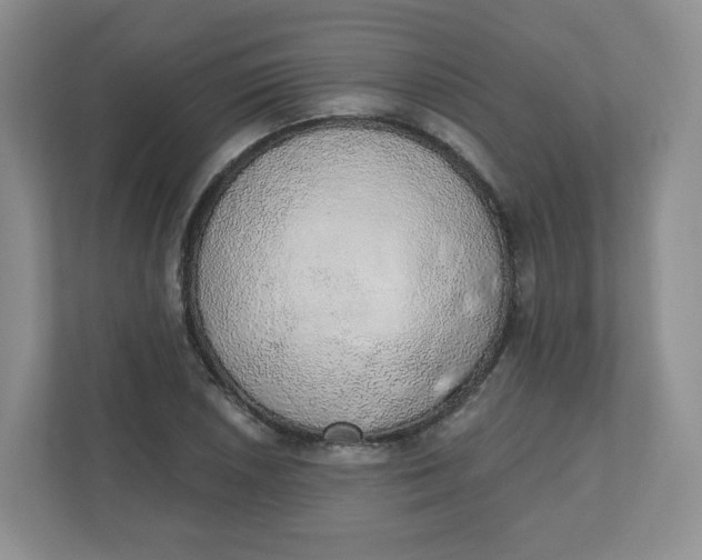 X0000110761026200906291024