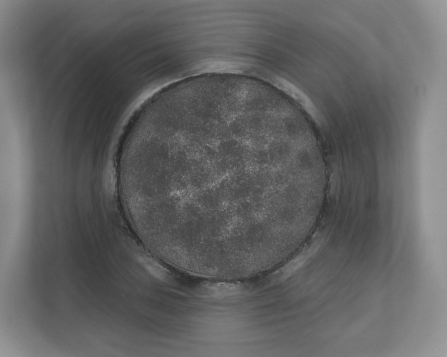 X0000110761027200906291024