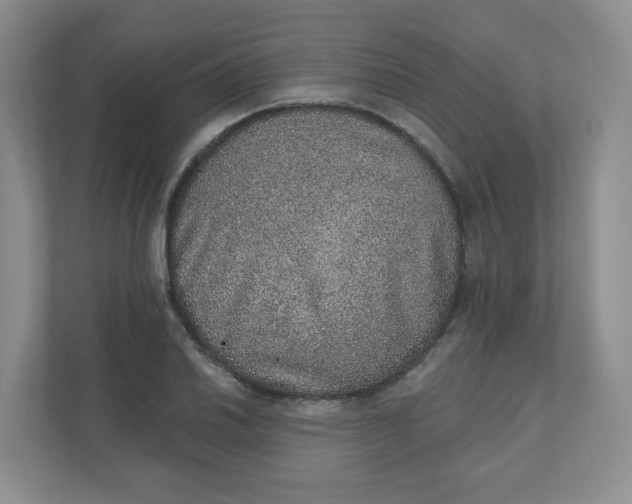 X0000110761030200906291024