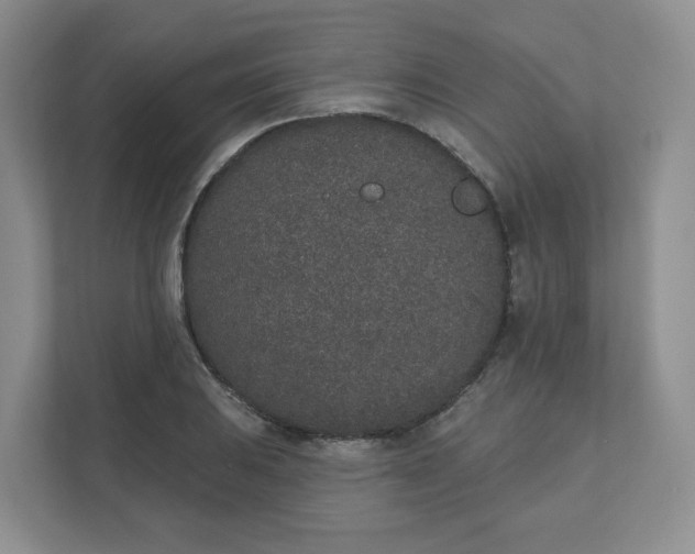 X0000110761031200906291024