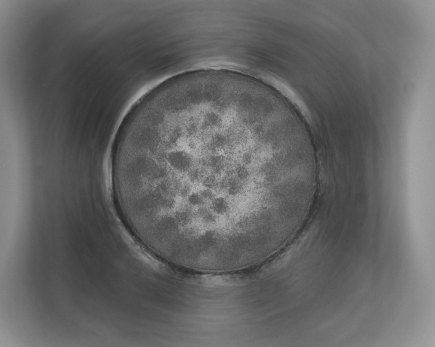 X0000110761032200906291024