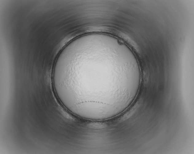 X0000110761033200906291024