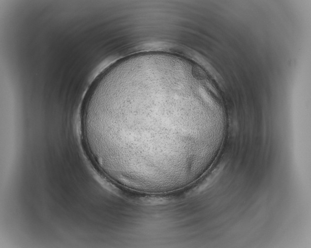 X0000110761034200906291024
