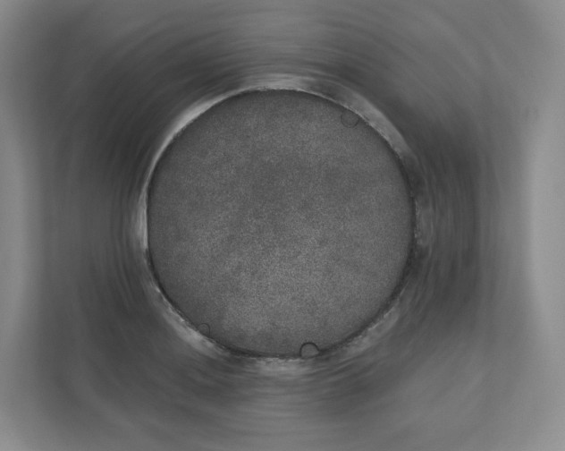 X0000110761036200906291024