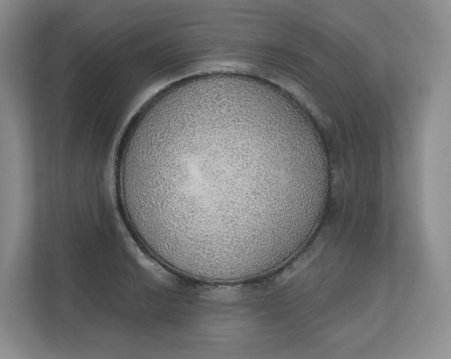 X0000110761038200906291024