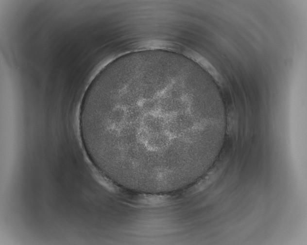 X0000110761039200906291024