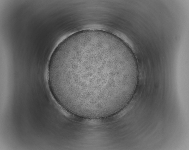 X0000110761040200906291024
