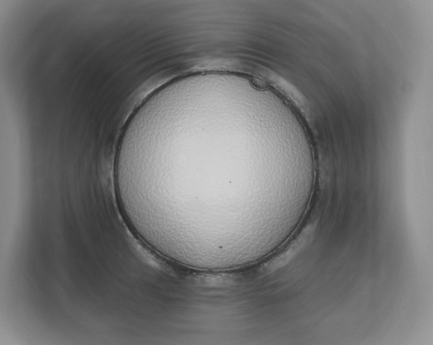 X0000110761041200906291024