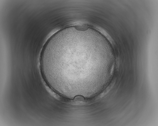 X0000110761042200906291024