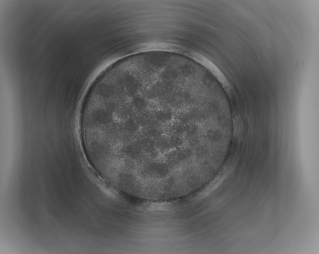 X0000110761043200906291024