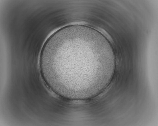 X0000110761044200906291024
