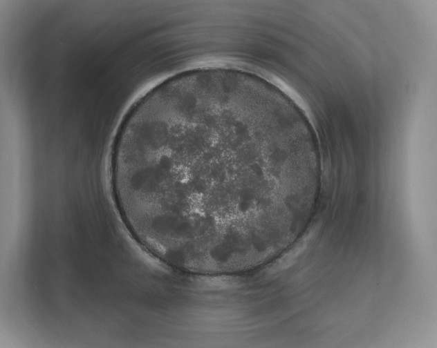 X0000110761045200906291024