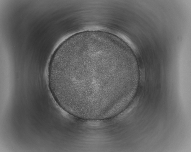 X0000110761046200906291024