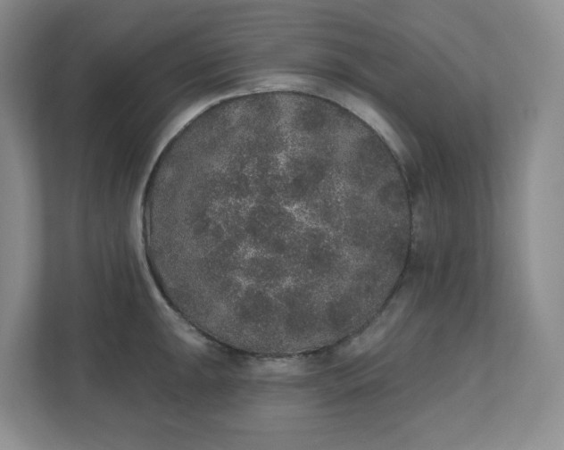 X0000110761047200906291024