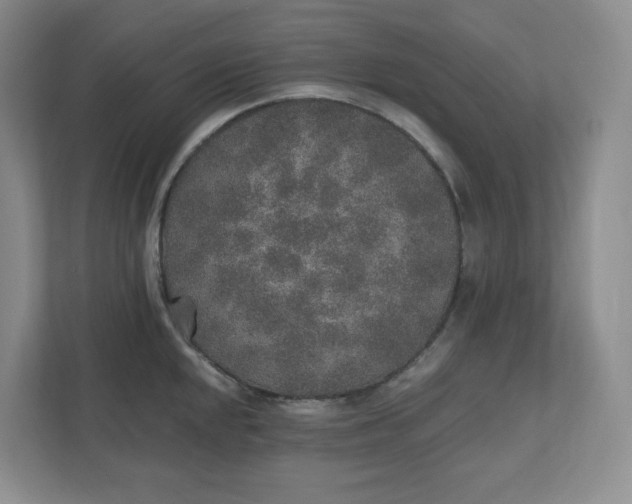 X0000110761048200906291024