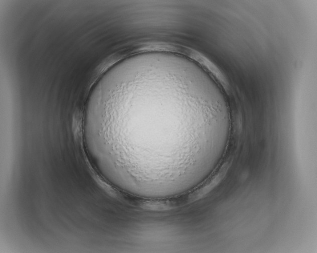 X0000110761049200906291024
