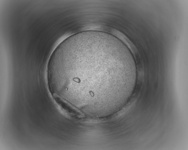 X0000110761050200906291024