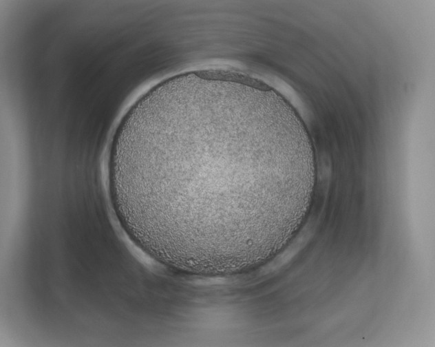 X0000110761054200906291024