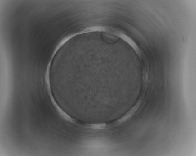 X0000110761055200906291024
