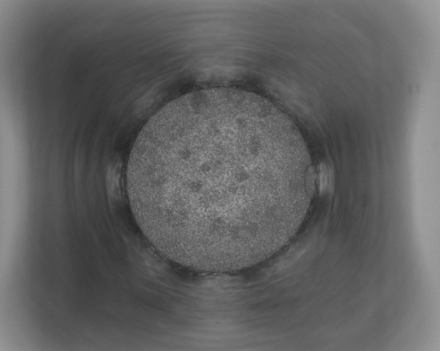 X0000110761059200906291023