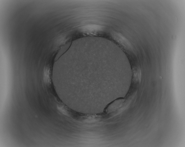 X0000110761060200906291023