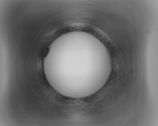 X0000110761061200906291023
